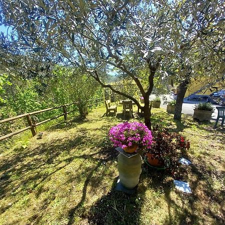 Hotel Il Giardino Dei Pavoni Soviore Esterno foto