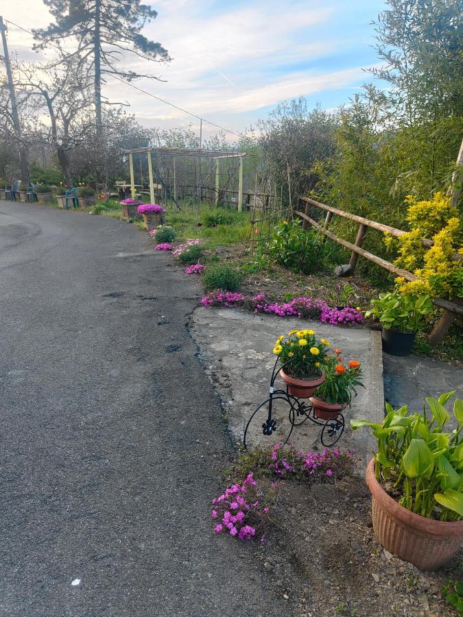 Hotel Il Giardino Dei Pavoni Soviore Esterno foto
