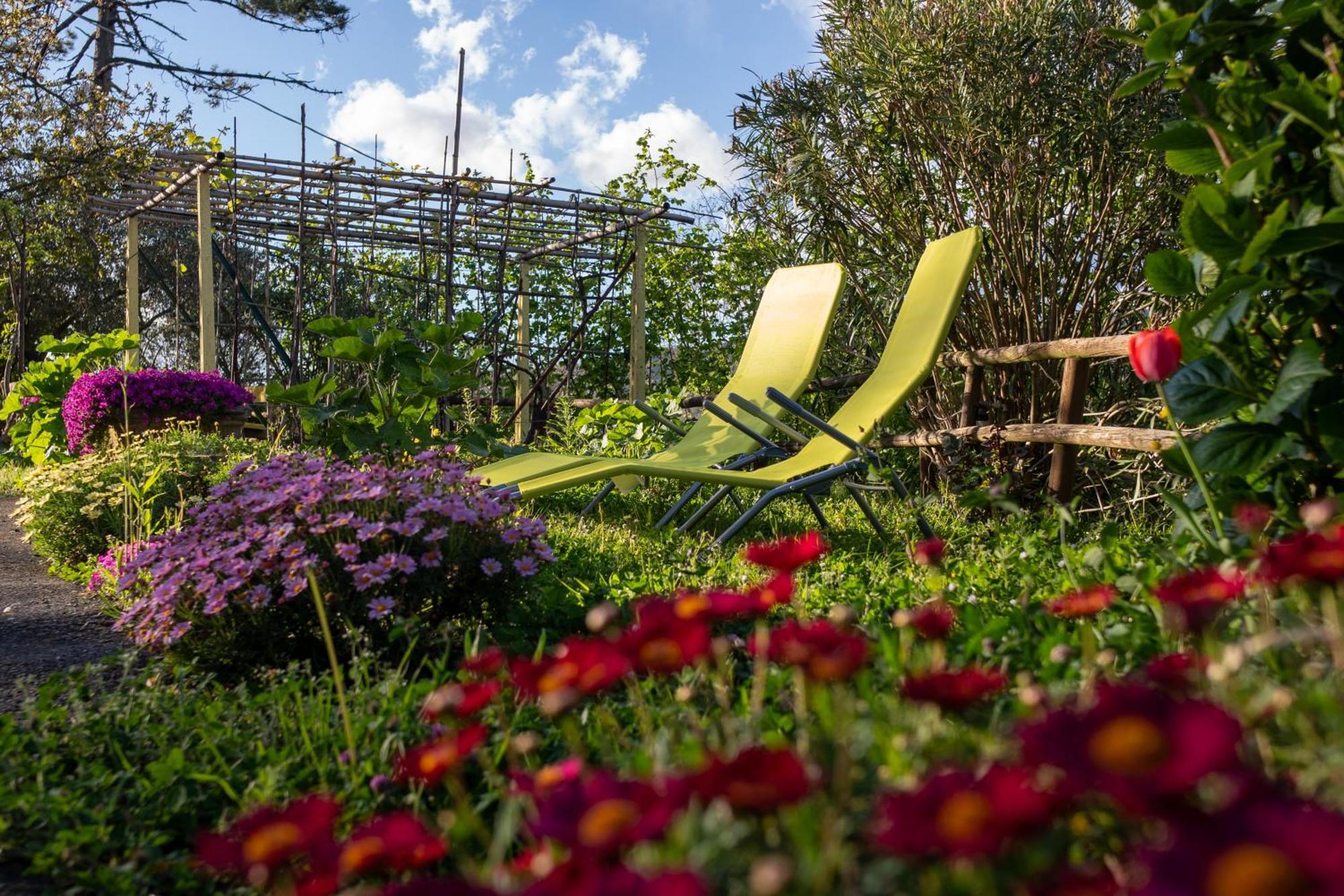 Hotel Il Giardino Dei Pavoni Soviore Esterno foto